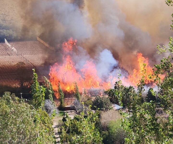 incendio tres cruces