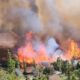 incendio tres cruces